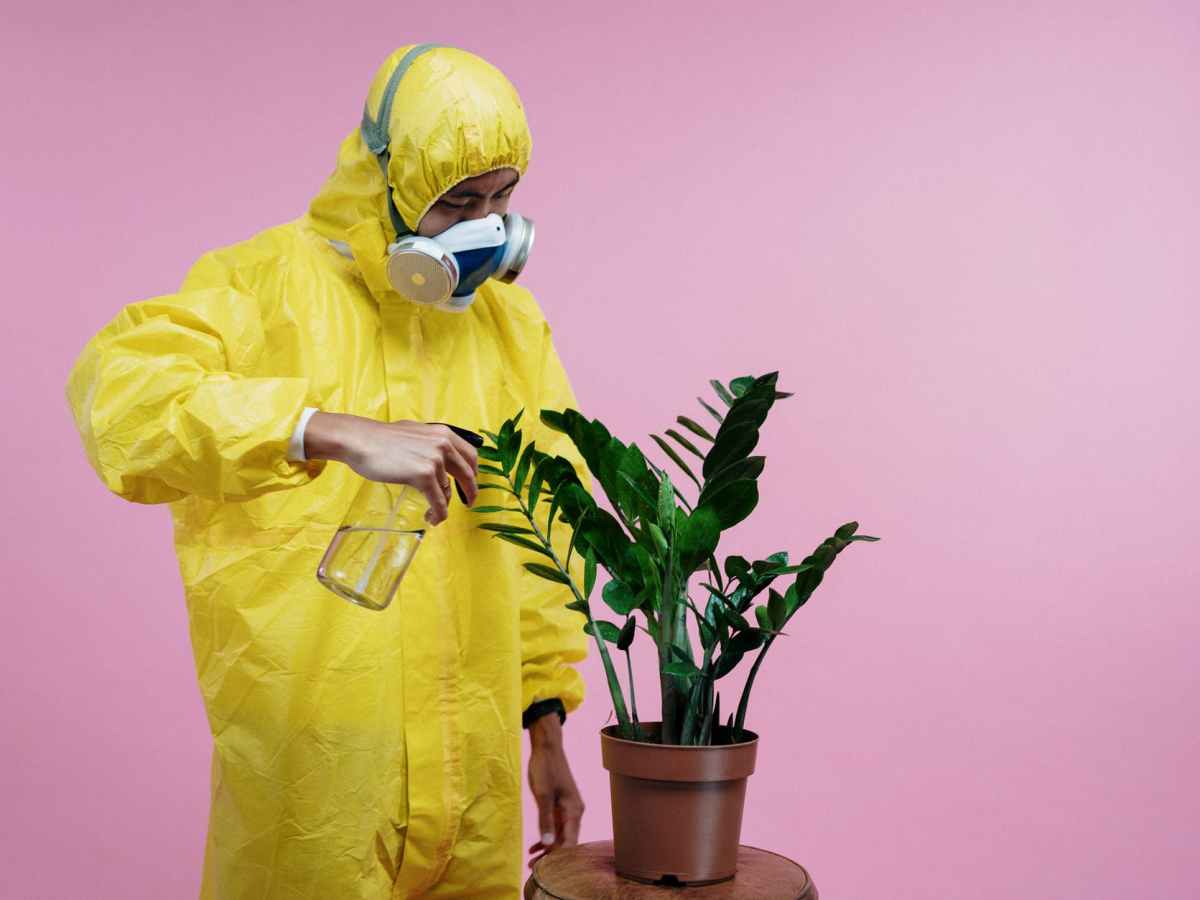 Things to do while Quarantined for&nbsp;Coronavirus